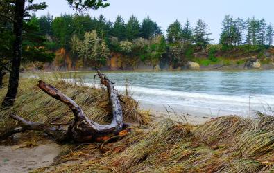 Selecting Coos County Assembly Areas image