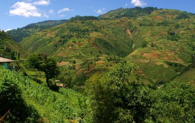 Impacts of Climate Change on Haiti image